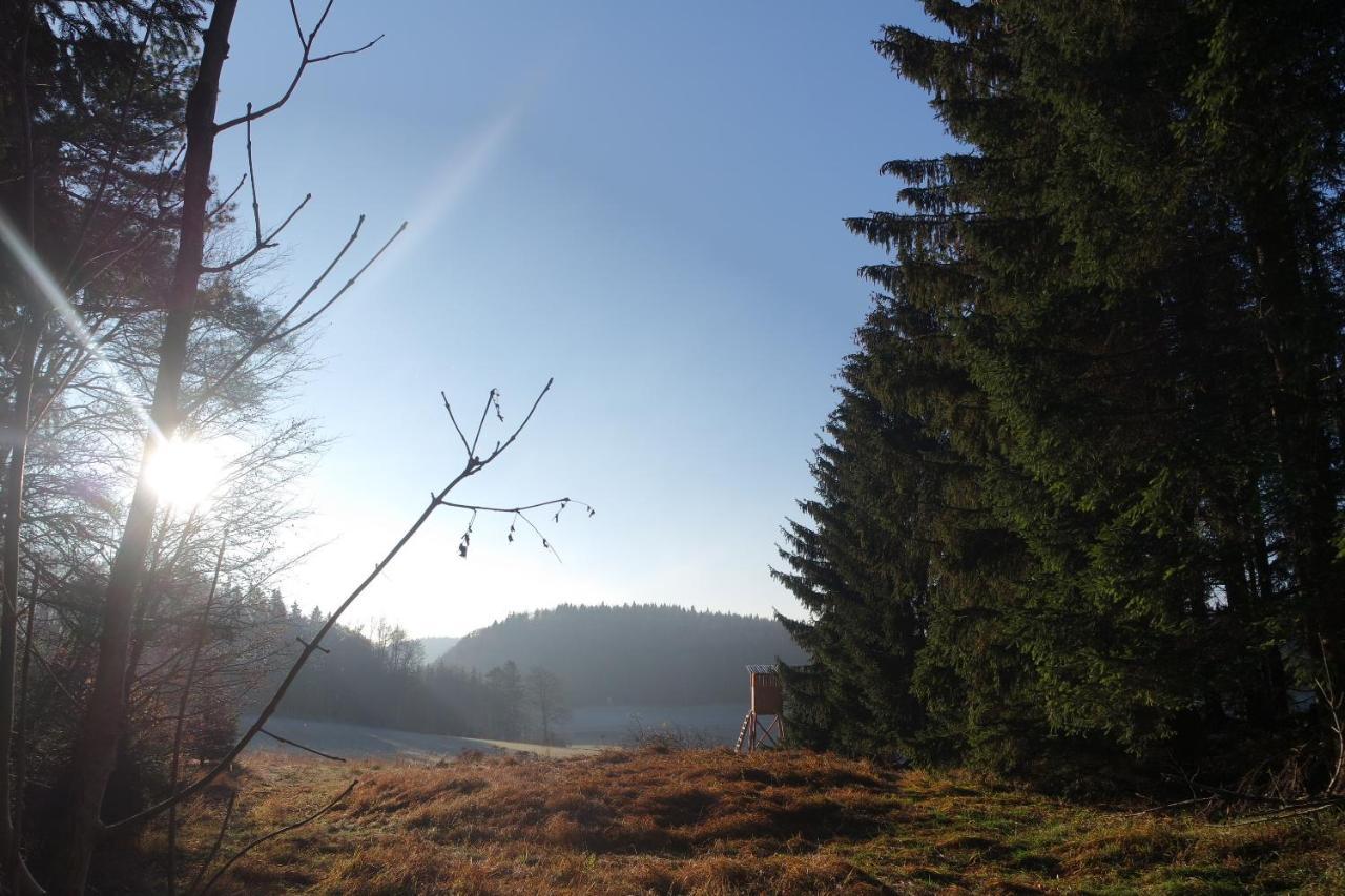 Alb Chalet Messstetten Екстериор снимка