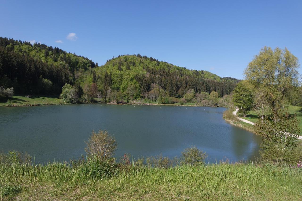 Alb Chalet Messstetten Екстериор снимка